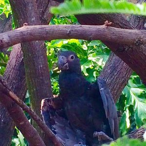 Meet your Posher, Noah